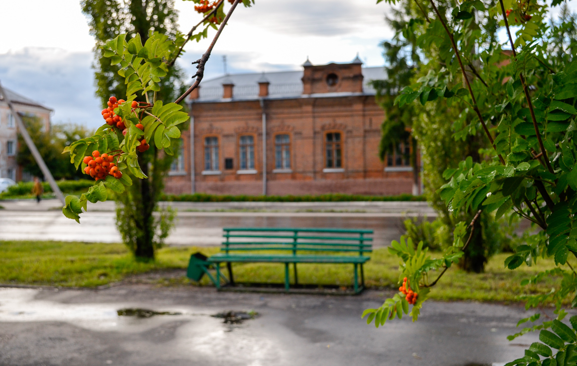 Мой родной Шадринск