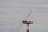IMG_8031-1 copy.jpg