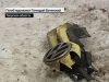 b_218398.jpg