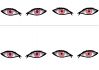 Eye.jpg