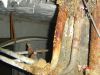 DSC00242.JPG