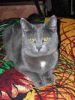 DSCN2828.jpg