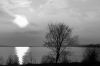 IMGP4643-2.jpg