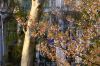 DSC01859.jpg