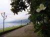 P7110132+.jpg