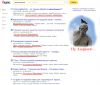 search.jpg