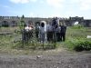 DSC01101.JPG
