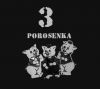 3POROSENKA.JPG