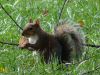 DSC04995.jpg