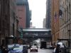 DSC05161.jpg