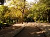 DSC05778.jpg