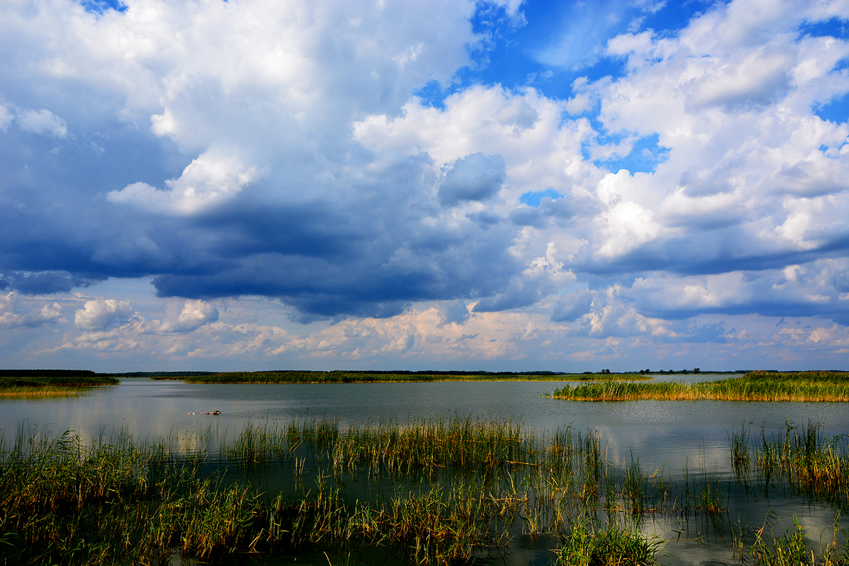 Крупнейшее озеро района россии. Озеро Кабанье Алтайский край. Озеро большое Кабанье Курганская область. Озеро большое Кабанье Шадринский район.