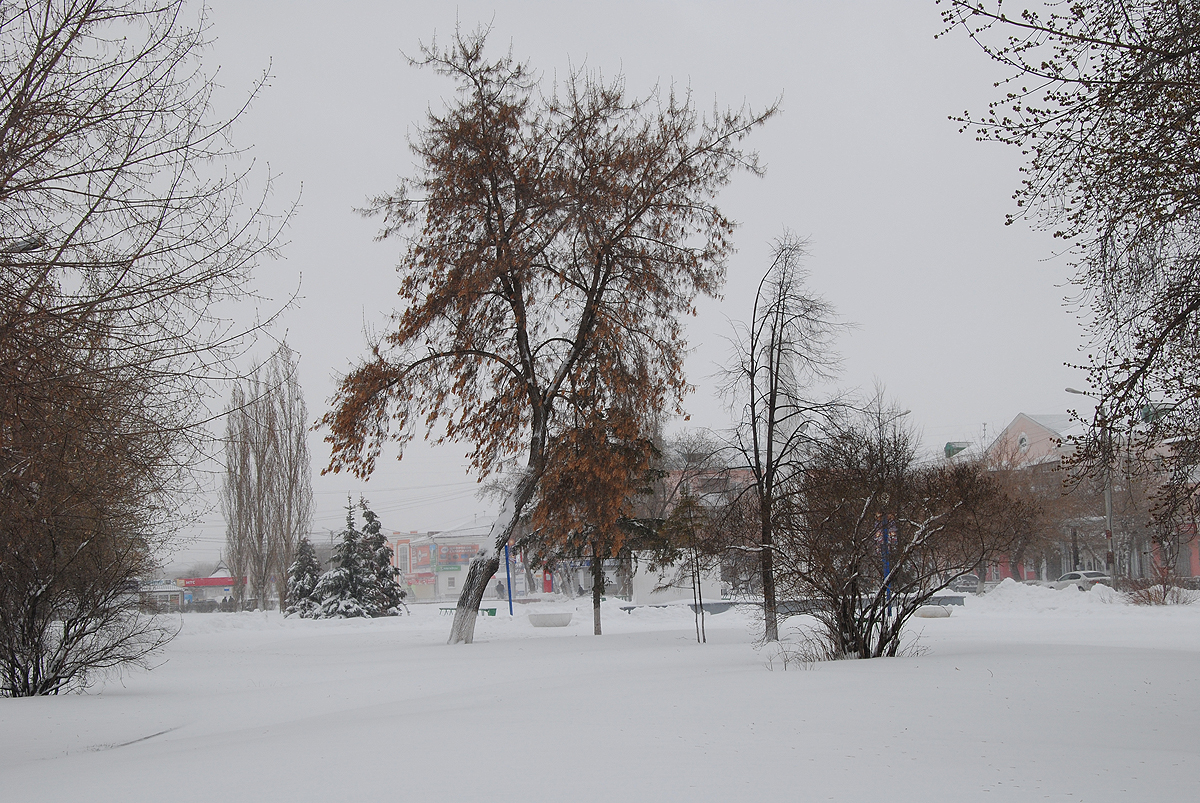 Погода г шадринск на дней. Набережная Шадринск зимой. Шадринск зимой. Шадринск природа. Красивые места в Шадринске.