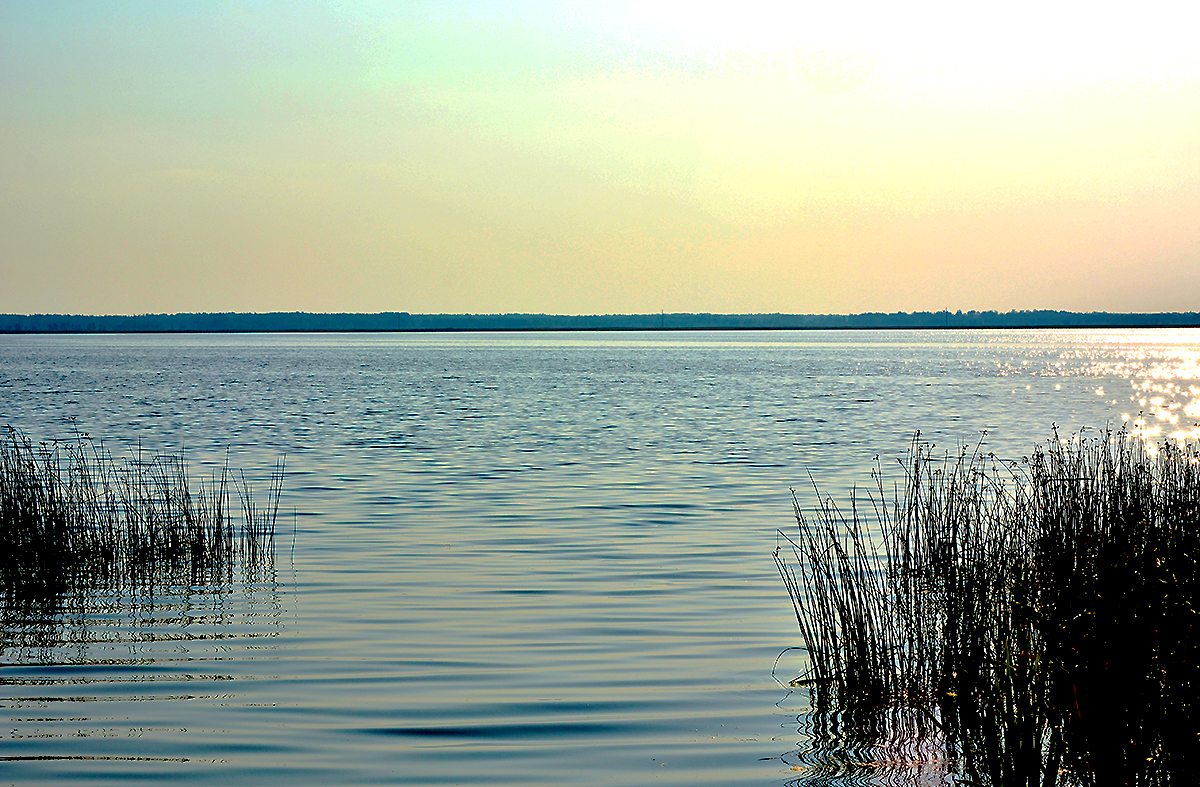 Озеро патронное курганская область