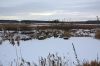 За переездом 6.jpg