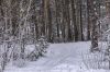Зима в окт_бре 1.jpg