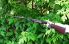 ИЖ-38.jpg