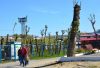 Обрезка деревьев в горсаду.jpg