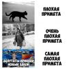 Приметы.jpg