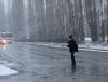 Снегопад 3.jpg