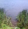 Фото-00262.jpg
