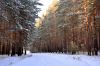 _нварский денек 5.jpg