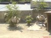 DSC00134.JPG