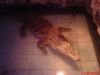 DSC00139.JPG