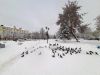 20191212_104244.jpg