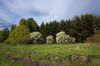 DSC03296-1280.jpg