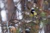 DSC04446.jpg