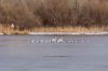 DSC04460-2x1280.jpg