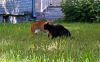 DSC04756.jpg