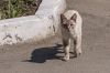 DSC05679.jpg