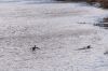DSC06580-2.jpg