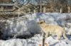 DSC07075.jpg