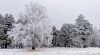 DSC09207-A.jpg