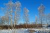 SAM_3942-F.jpg
