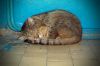 SAM_7076-F.jpg
