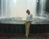 DSC00008.JPG
