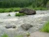 DSCN1312.JPG