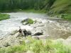DSCN1316.JPG