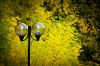 DSC06711ф.jpg