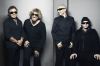 chickenfoot.jpg