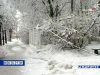 b_211641.jpg
