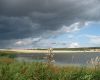 IMG_0868.jpg