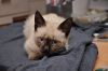 DSC_8221.JPG