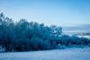 DSC00202.JPG
