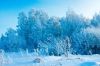 DSC00205.jpg