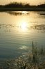 DSC00267.JPG